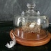 Vintage Glass Dome with Wooden Base