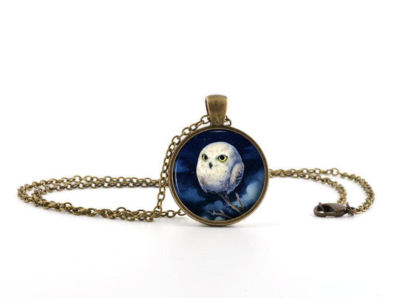 Owl Pendant Necklace - Owl Jewelry - Antique Style Bronze Baby White Owl Bird Art - Picture Pendant - Gift Bag Included