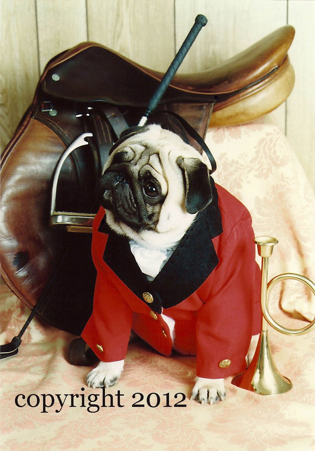 Pug Horse