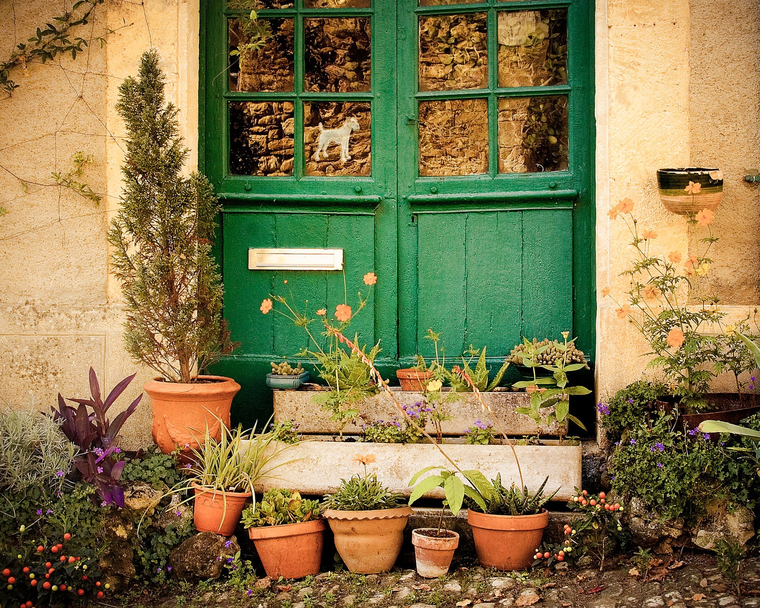 France Photography, Travel Photography, Rustic Door, Etsy Wall Art, 8x10, "French Facade"