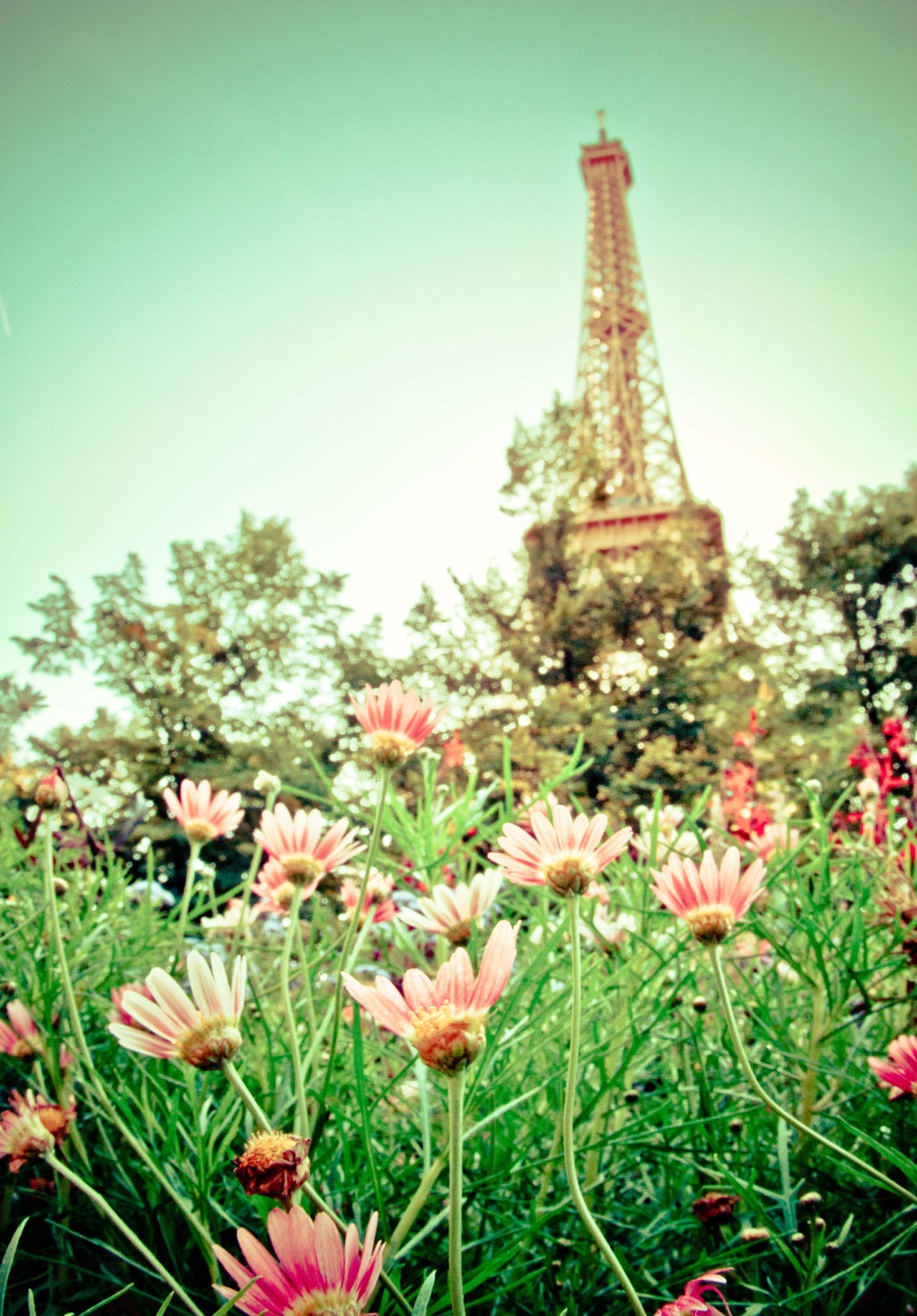 A4 print 'Eiffel tower through the flowers' colour photograph