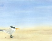 watercolor  original bird Your TERN on the beach