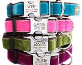 Metal Buckle Lazer Engraved Personalized Velvet Dog Collar - 14 colors