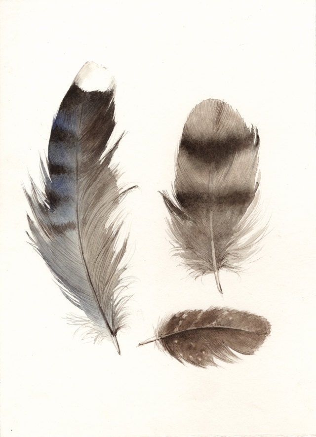 feathers painting, watercolor, art, wall, decor, earth tones, "Found Feathers no. 3" Large Archival Print