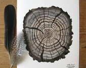 Petrified Log giclee art print