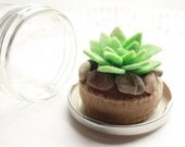 Mini Felt Terrarium - Cactus and Stones in a Little Glass Jam Jar