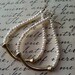 Round robin- fresh water  pearl earrings