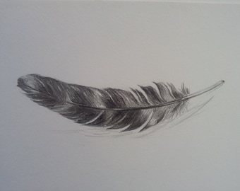 Original Feather Drawing Pencil Sketch