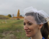 6 Inch Birdcage Fascinator