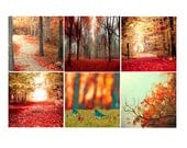 Nature photography gift set in red orange 6 5x5 photos - cool gift to fit Ikea Ribba Frames - trees, birds, men