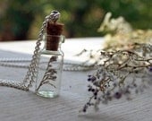Glass Vial Necklace with Tiny Dried Autumn Floral Caspia Flower, Nature Jewelry, Woodland Jewelry