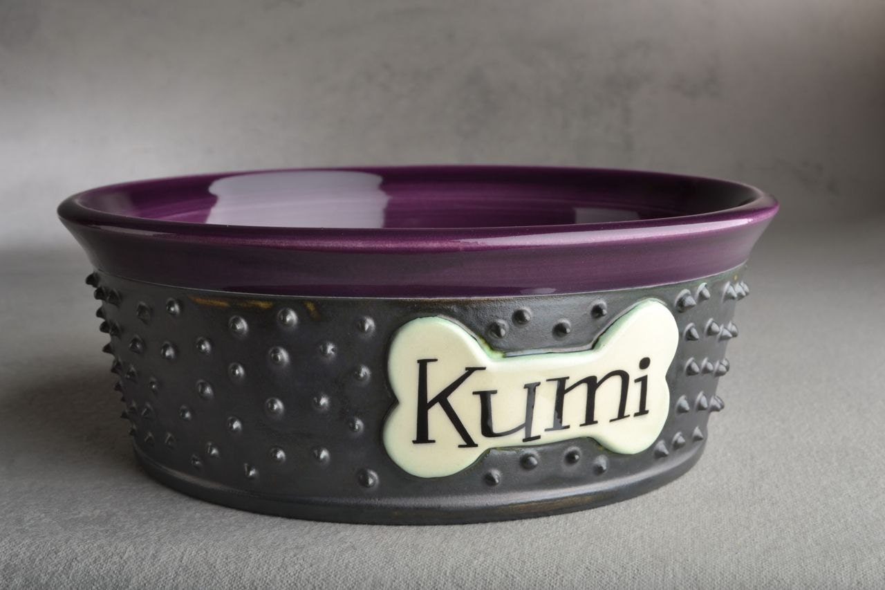 Medium Dog Bowl 8" Single Personalized Made To Order Dangerously Spiky Dog Bowl by Symmetrical Pottery