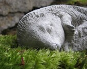 Hedgehog Statue, Concrete Fairy Garden Critter.