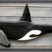 KILLER WHALE  woodcarving nautical art wall mount 40 inch