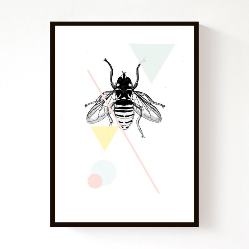 NEW Bee Geo - (A3) Print