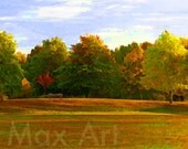 autumn, fall, autumn trees, fall trees, autumn sunshine, fall sunshine, forests in fall, parks, fall colors, city parks, autumn fields