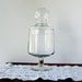 Glass Apothecary Pedestal Jar
