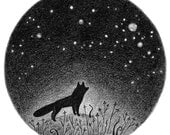 Fox in the Night Meadow - Fine art print - Nature art