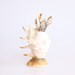 Seashell appetizer pick set, great nautical home decor