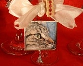Custom Cat Photo Ornament, Personalized