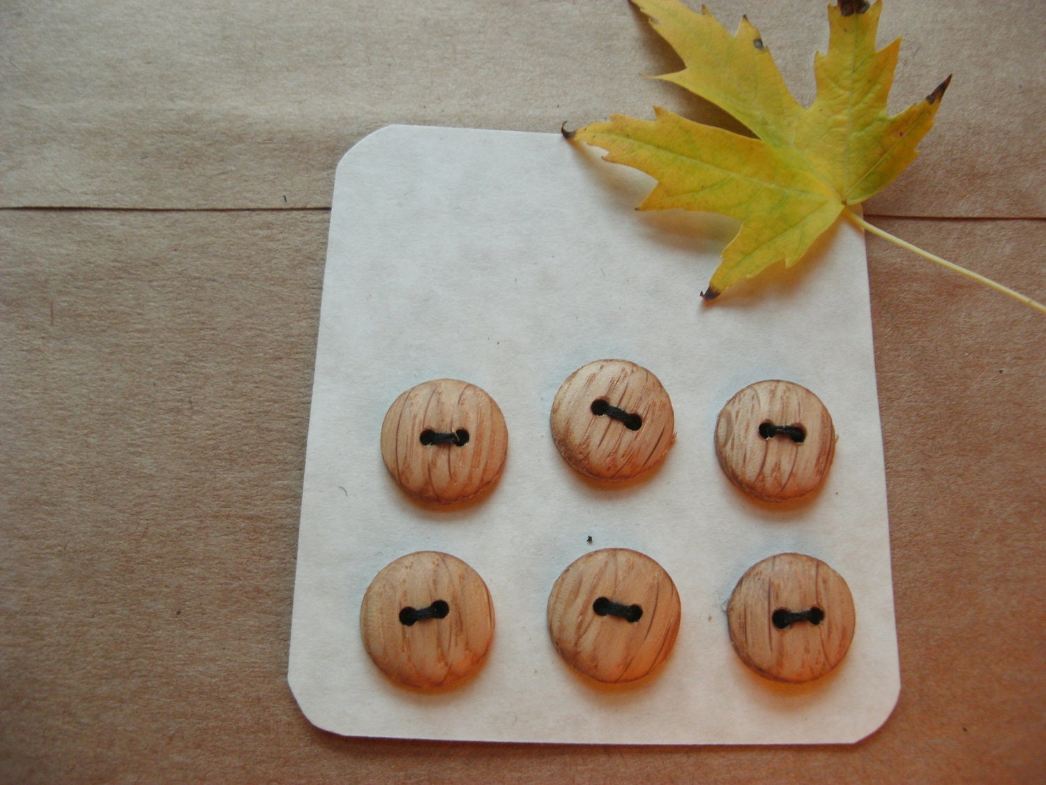 Six Small Wood Buttons White oak (1/2 inch)