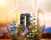Fairy Garden - Ancient Stone Ruins - Fantasy Terrarium / Diorama