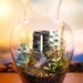 Fairy Garden - Ancient Stone Ruins - Fantasy Terrarium / Diorama