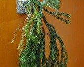 Hanging Planter Vase