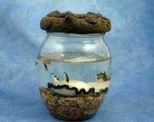 Glossodoris Nudibranch Perma-Pet, Mixed Media Sea Slug Sculpture