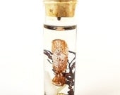 Tiny Squid Pendant OOAK