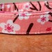 Haiku - Organic Cotton MEDIUM Dog Collar Cherry Blossoms - All Antique Brass Hardware