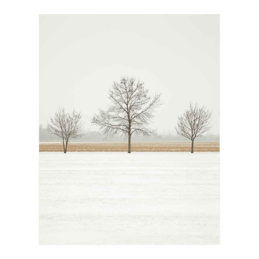 Winter Landscape Photography - Three Bare Trees in Snow, Cornfield, Gold Accents, Neutral Tones, Muted Colour, Bough - Cornsilk Glaze 8x10