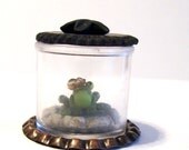 Flirty Frog Prince in a Magic Illuminated Pond Habitat with Magnifying Lid - OOAK Mini Handmade