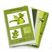 Yoki the Dragon sewing KIT