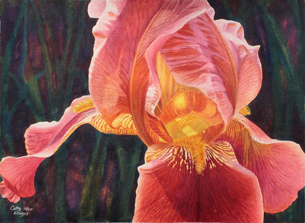Iris art watercolor painting print by Cathy HIllegas, 12x16, coral, peach, salmon, pink, gold, green, "Heart of Gold"