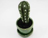 Felted Cactus