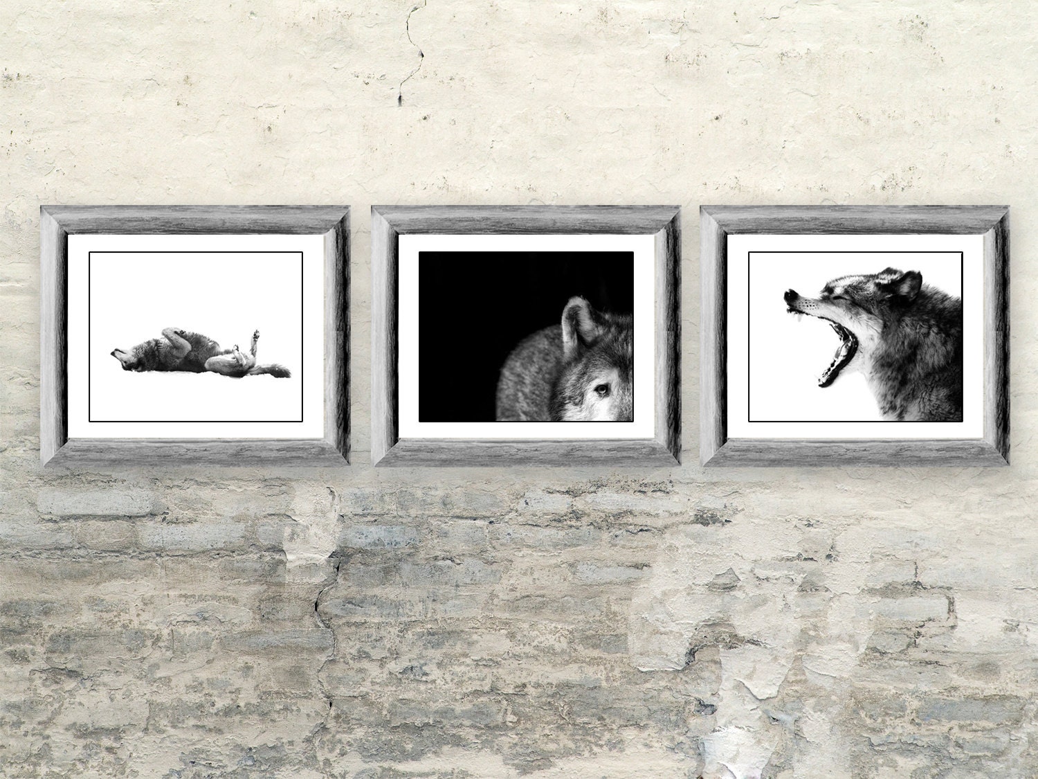Wolf Photos Gift Set - Three 8x10 Black and White Wolf Prints - Wolf Art Decor for Animal Lover - Gift for Him or Her