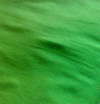 Pigment Green Dupioni Silk Fabric Half Yard