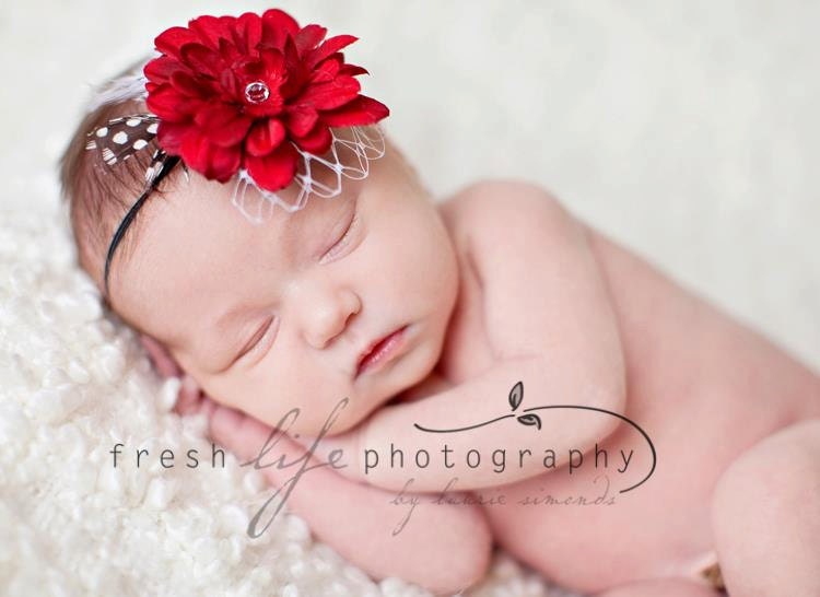 Red Flower Headband with Pearls Veiling Feathers Vintage Photo Prop