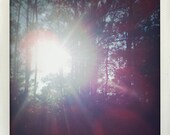 Sunlight Through The Trees fine art photography - boho, dreamy,woodland, lens flare, forest photo, woods, wall art, nursery art
