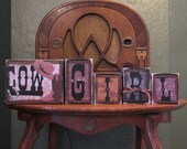 Cow Girl Word Blocks