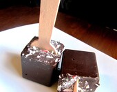 Candy Cane Hot Chocolate on a Stick
