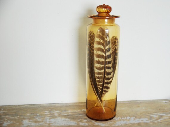 feathers in a jar