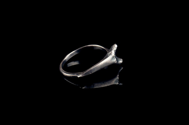 Shark Tooth Ring