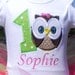 Owl Birthday Outfit - 1st Birthday Owl - Owl Birthday - Owl Petti Tutu Outfit - w/Child's Name