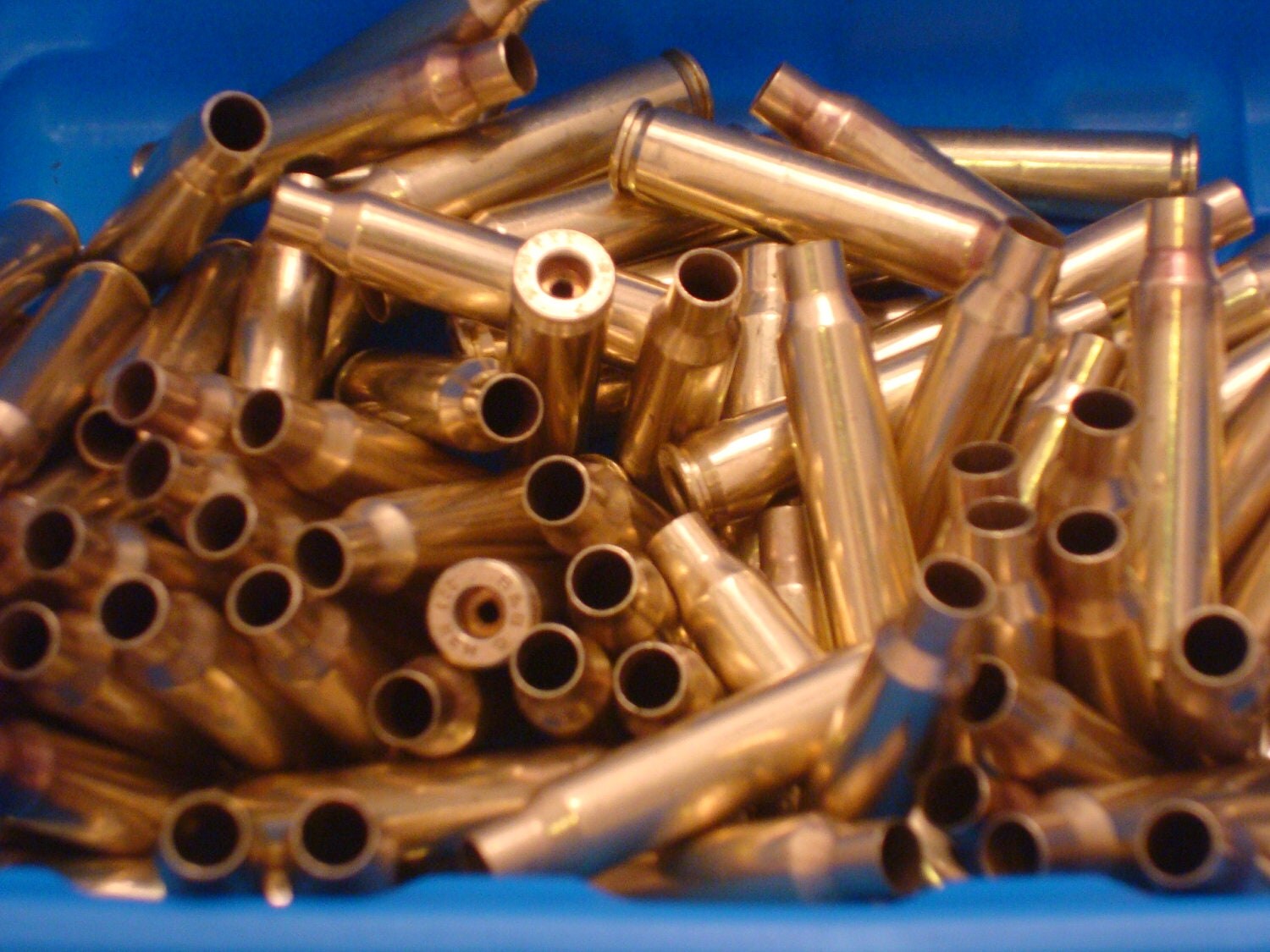 Brass Shell Casings