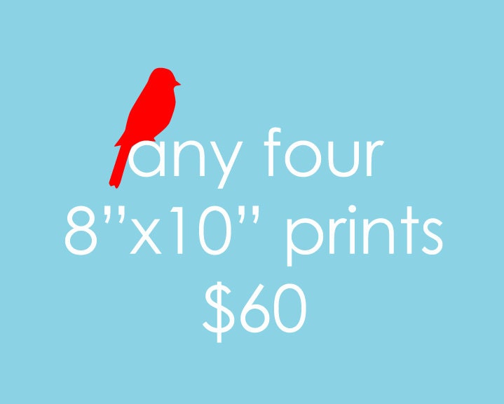 Any four 8x10 prints in the shop