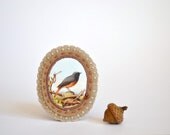 vintage bird print brooch - victorian - camel and beige - rust orange details -pin broach
