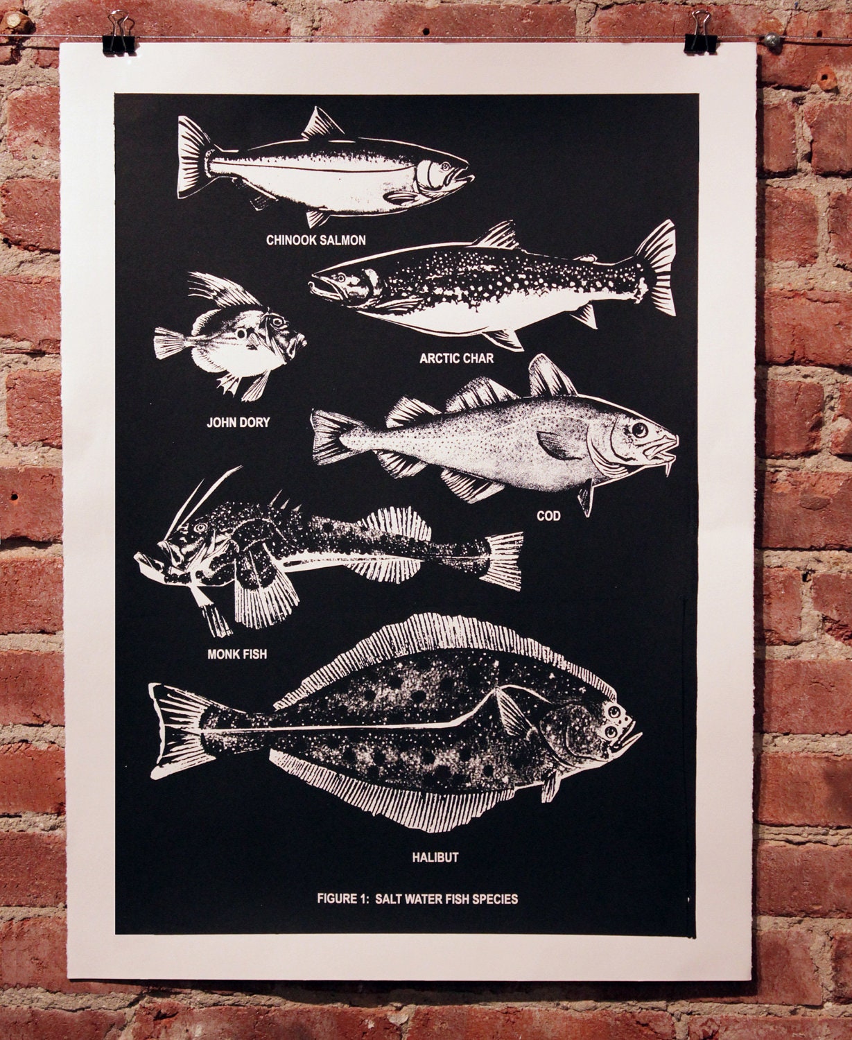 Salt Water Fish Print Black