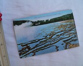 Yellowstone National Park Biscuit  Basin Postcard